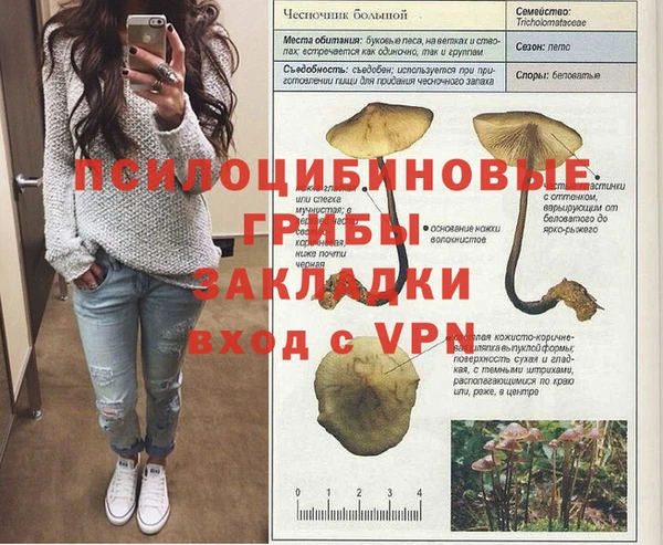 гидра Каменск-Шахтинский