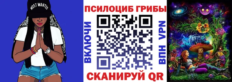 ссылка на мегу ССЫЛКА  Печора  Галлюциногенные грибы Psilocybine cubensis 